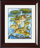 "Five Largemouth Bass Under Lily Pads" Grande Mini Print