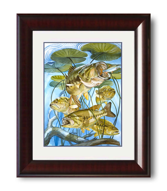 "Five Largemouth Bass Under Lily Pads" Grande Mini Print