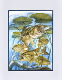 "Five Largemouth Bass Under Lily Pads" Grande Mini Print
