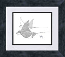 "Fly By" Limited Edition Print
