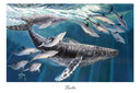 "Frolic" Limited Edition Lithograph