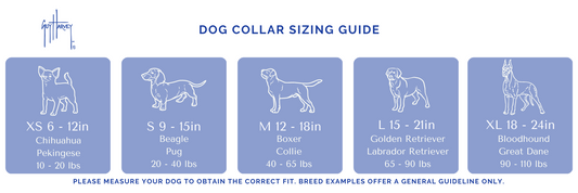 USA Marlin Dog Collar