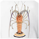 OG Pocket Tee - Florida Lobster