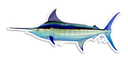 Blue Marlin Decal