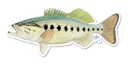 Largemouth Bass Decal