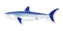 Mako Shark Decal