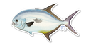 Permit Decal