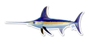 Swordfish Decal