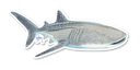 Whale Shark Decal