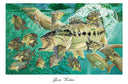 "Goin' Fishin' " Limited Edition Lithograph