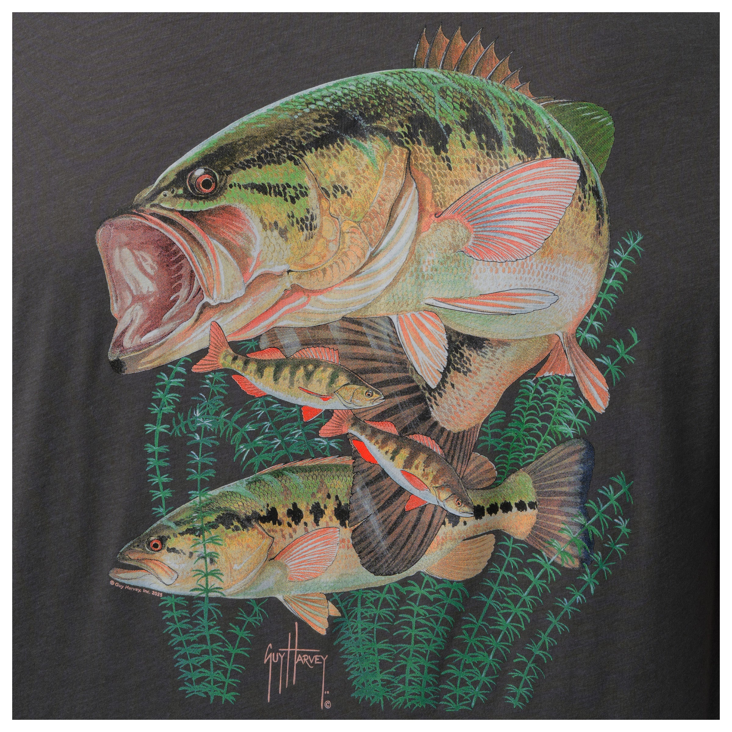 Bass fish design on a black background