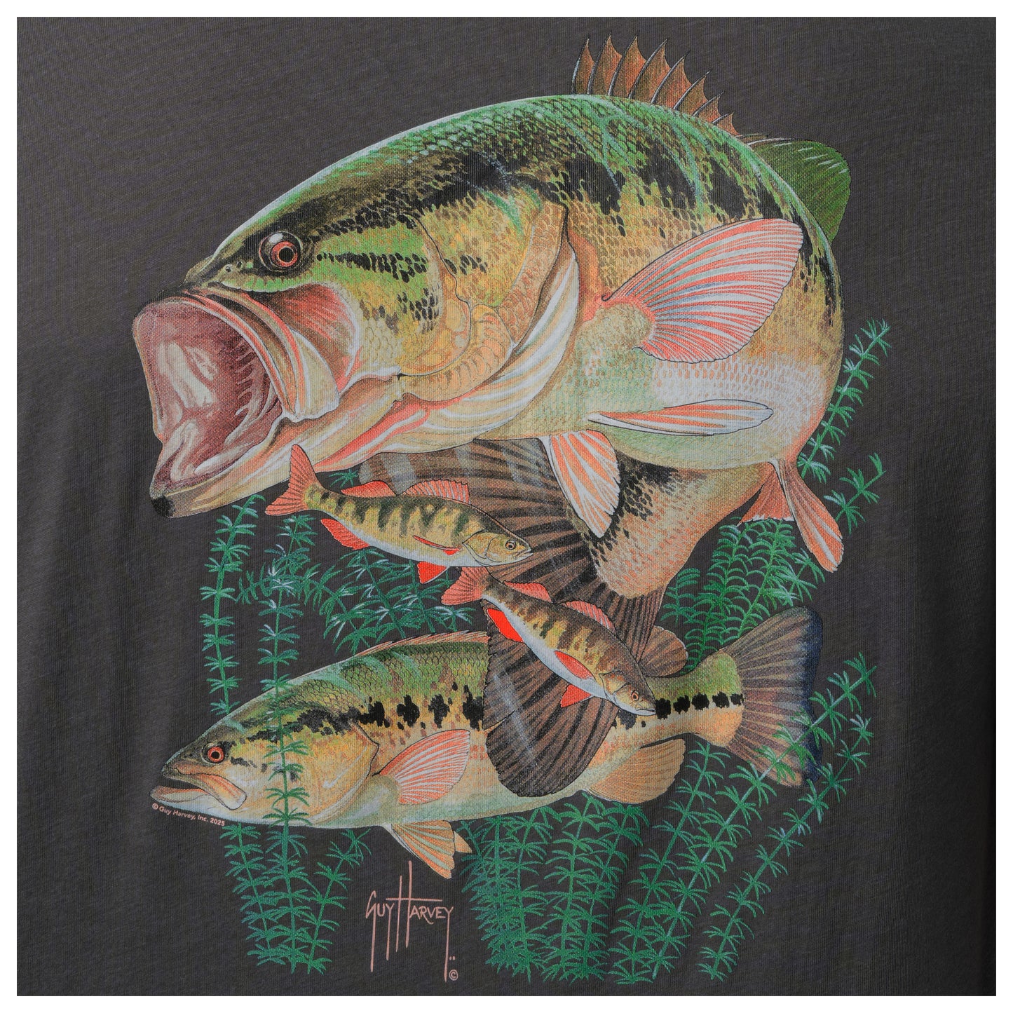 Bass fish design on a black background