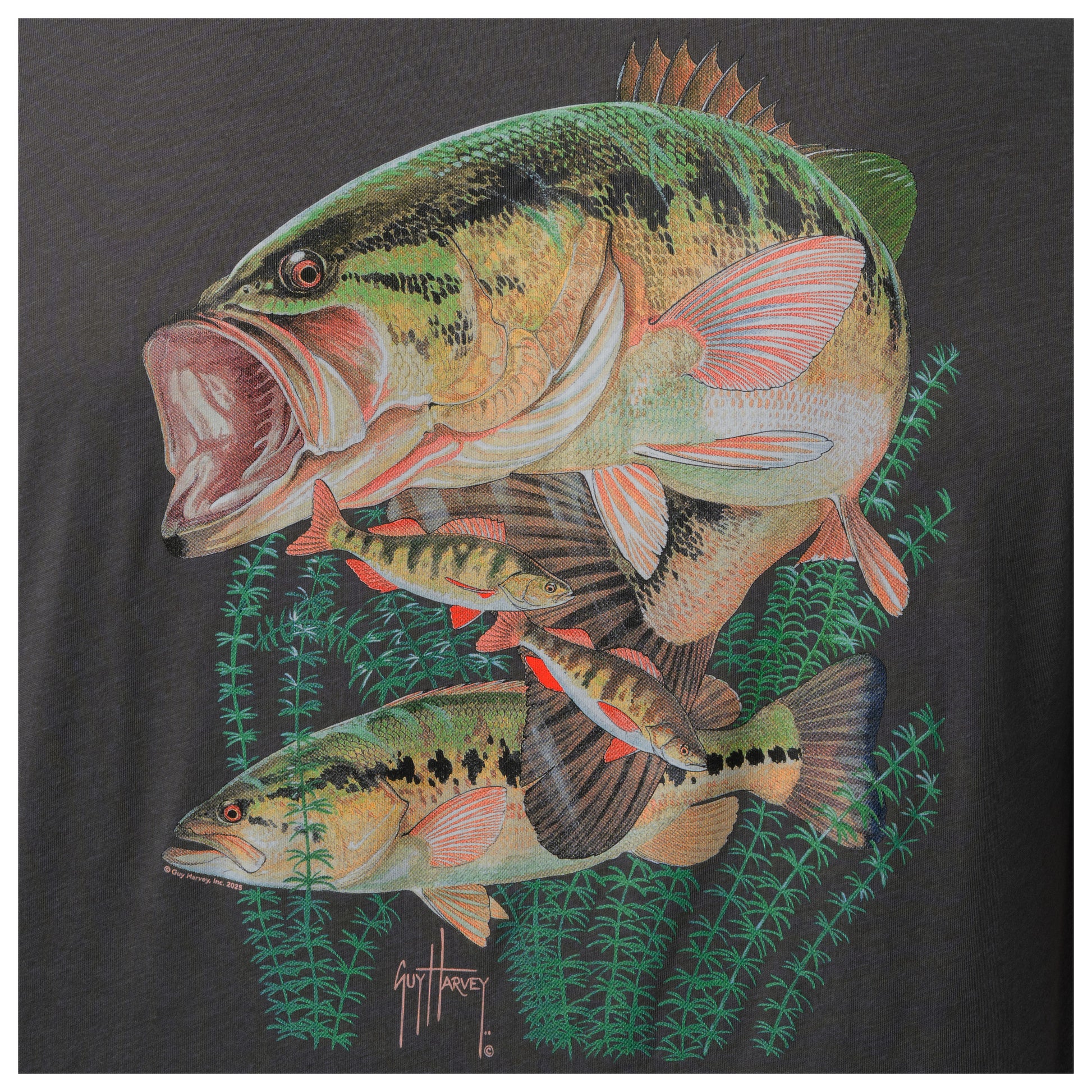 Bass fish design on a black background