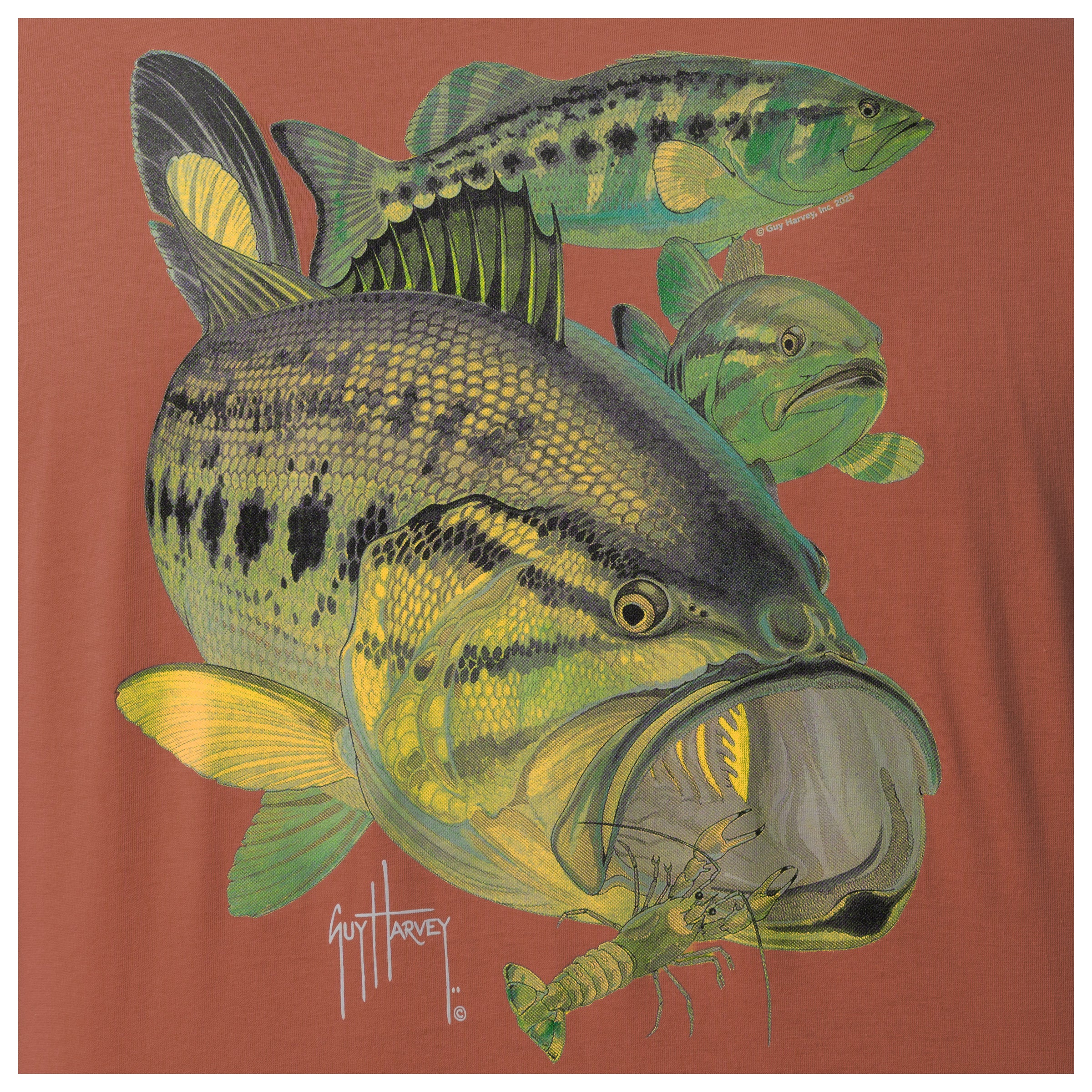 Illustration of a large mouth bass and a smallmouth bass on a orange background.