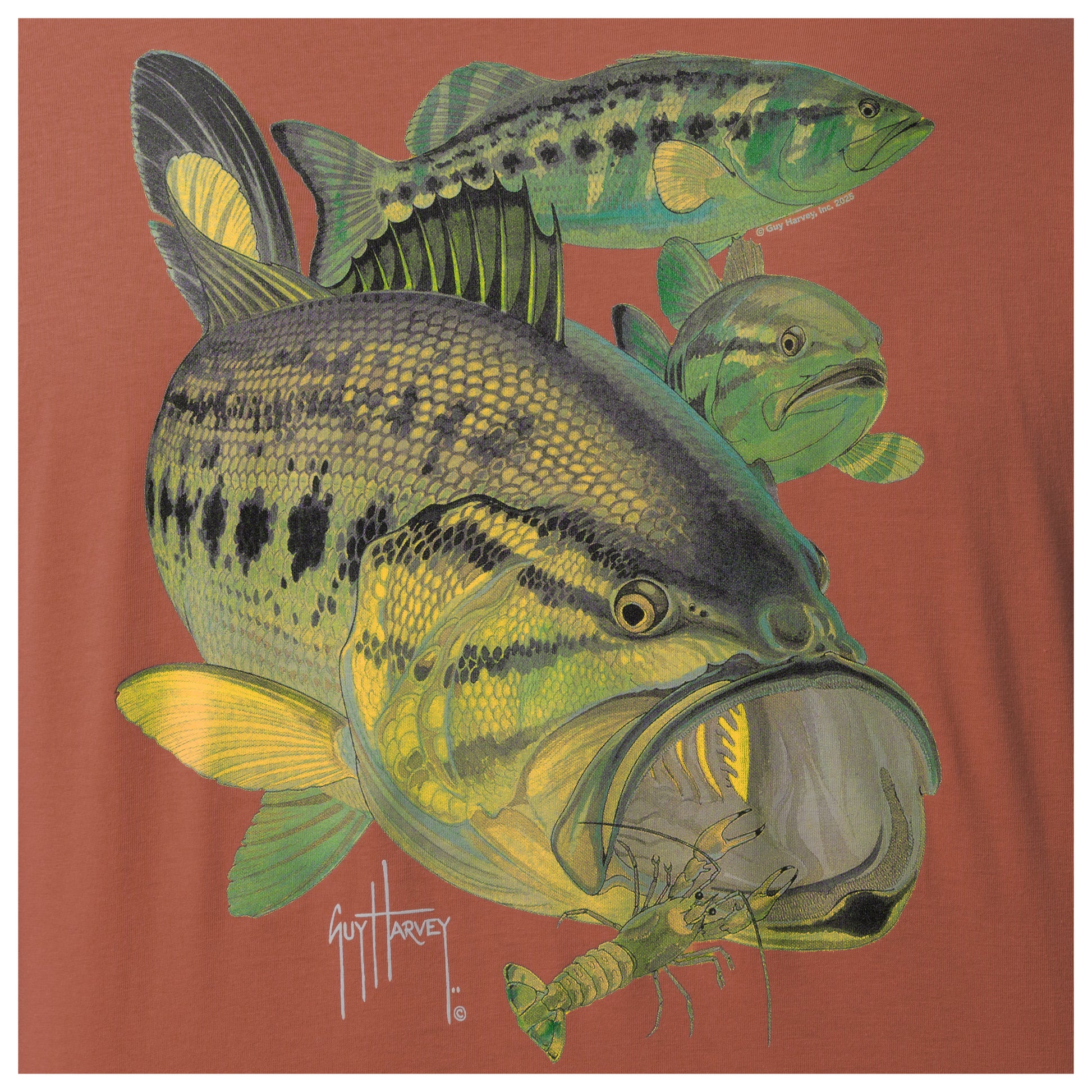 Illustration of a large mouth bass and a smallmouth bass on a orange background.