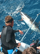 Guy Harvey tagging a marlin