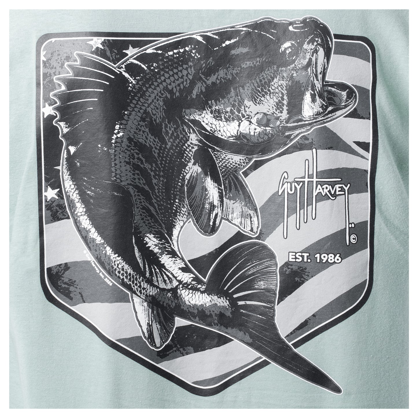 Bass graphic with Guy Harvey logo on a light blue background