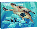"Hawksbill Caravan" Small Canvas Art