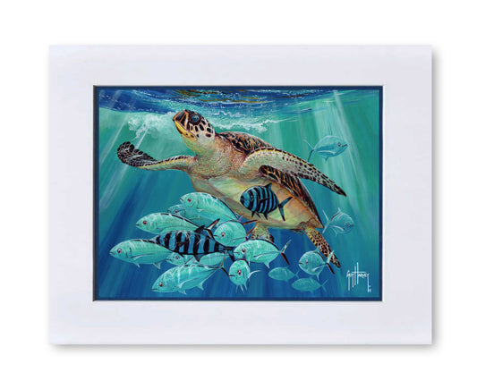 "Hawksbill Caravan" Mini Print