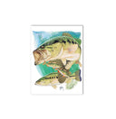 "Largemouth Bass II" Limited Edition Print