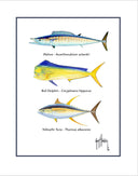 "Offshore Slam Species" Grande Mini Print