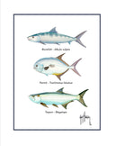 "Inshore Slam Species" Grande Mini Print