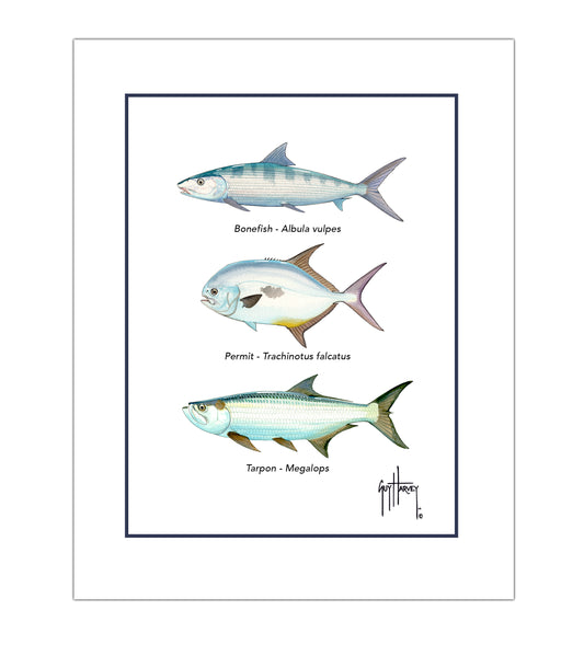 "Inshore Slam Species" Grande Mini Print