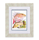 "Mutton Snapper & Hogfish" Limited Edition Print