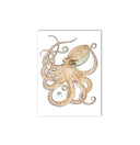 "Octopus II" Limited Edition Print