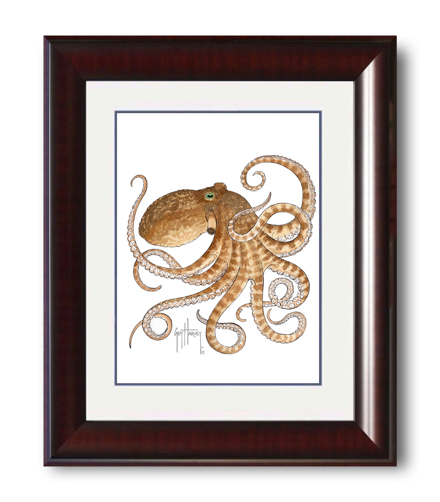 "Octopus IV" Grande Mini Print