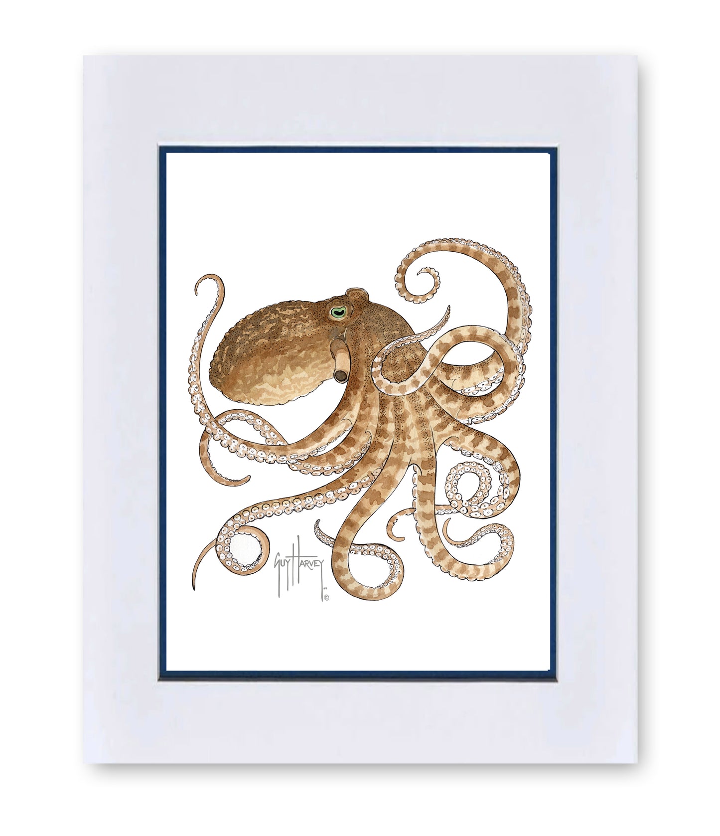 "Octopus IV" Grande Mini Print