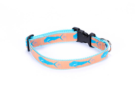 Guy Harvey Orange Dorado Dog Collar with aqua fish design on durable nylon strap