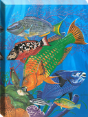 "Parrotfish Reef" Small Canvas Art