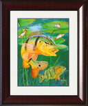 "Peacock Bass" Mini Print