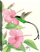 "Pink Hibiscus I" Small Canvas Art