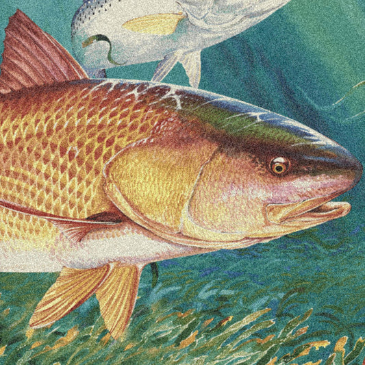 Redfish Area Rug