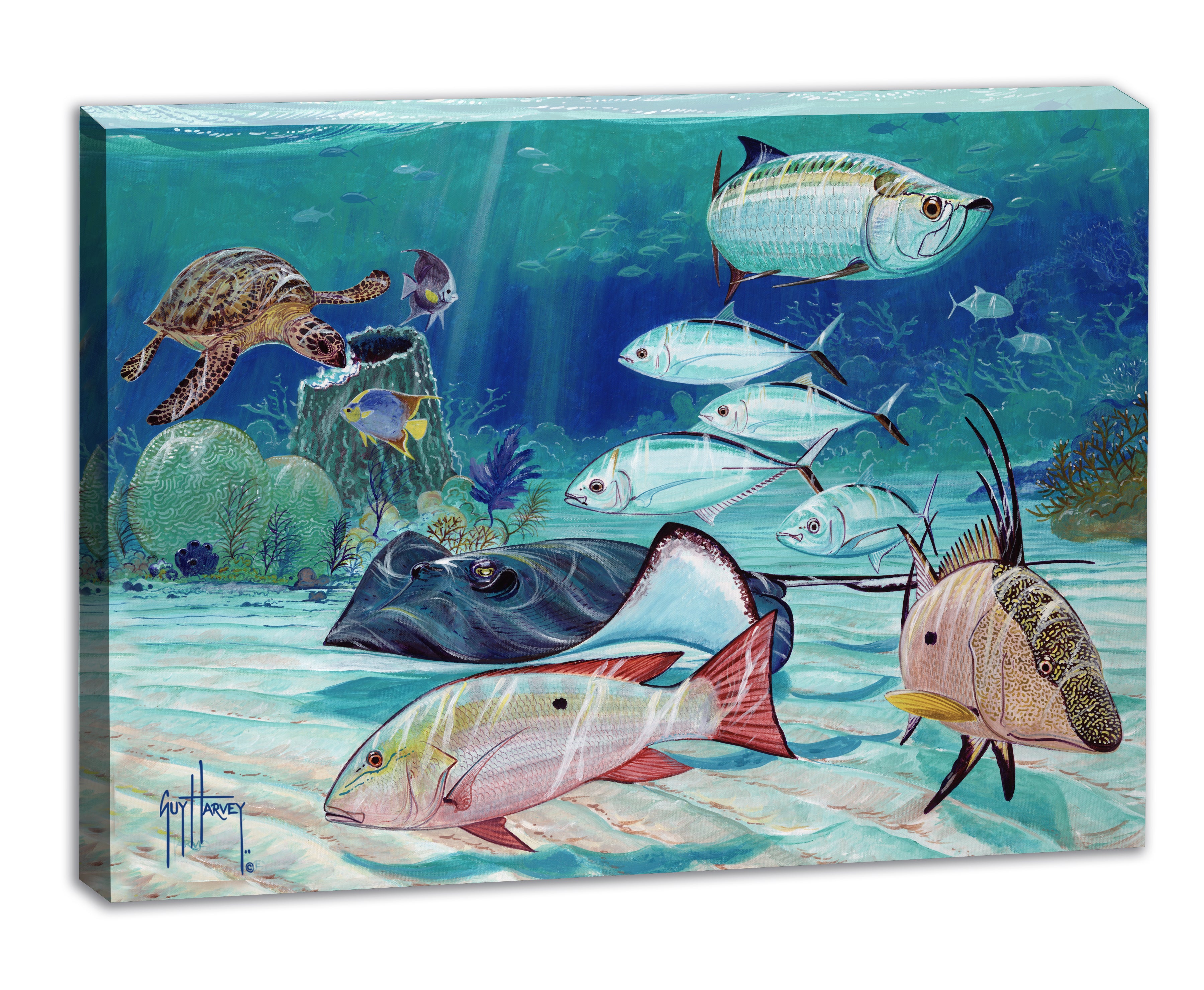 "Reef Patrol" Small Canvas Art