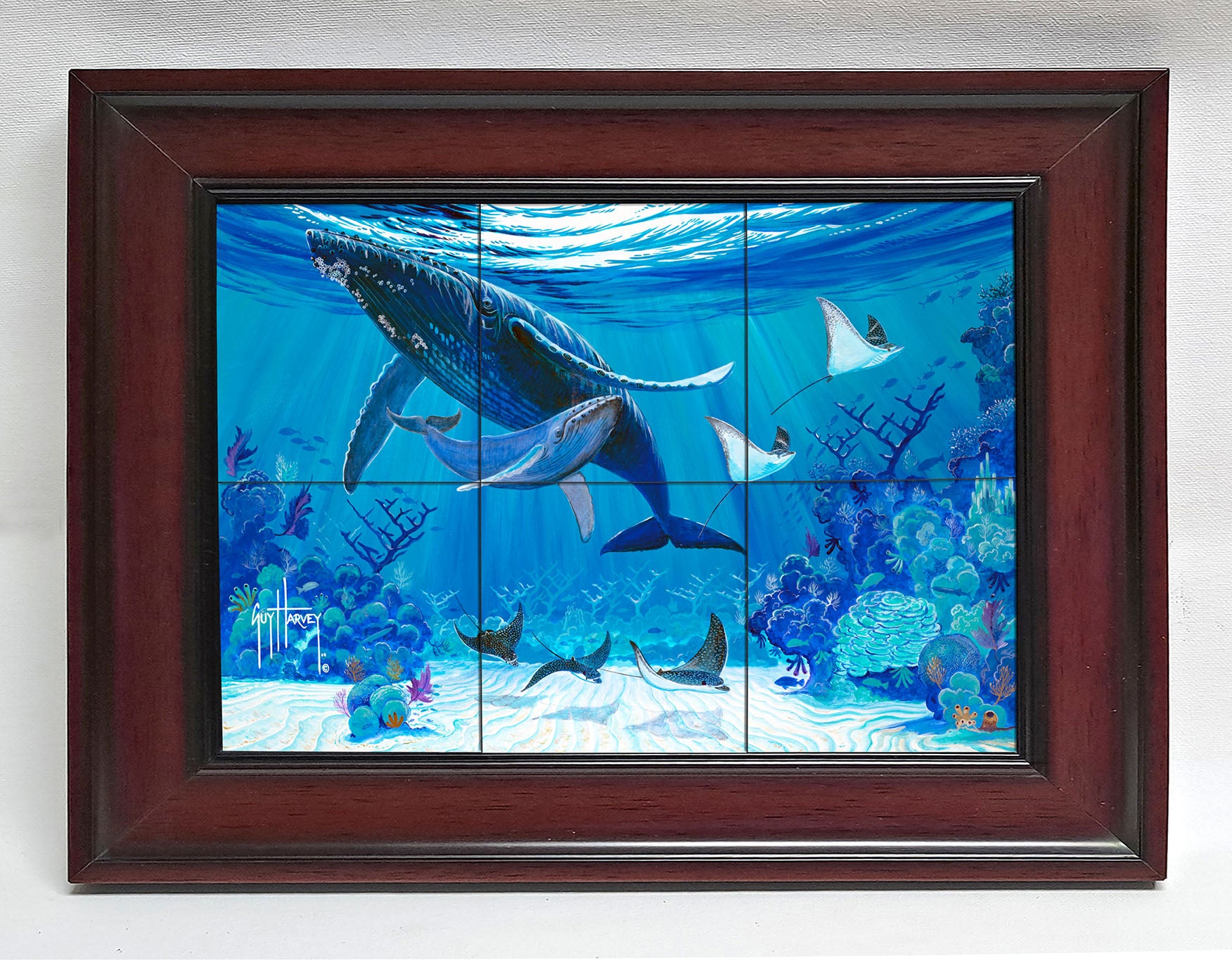 Reef Sanctuary