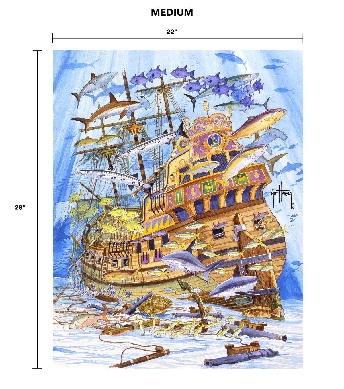 Spanish_Galleon_28x22_MEDIUM_c 