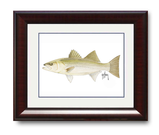 "Striped Bass" Grande Mini Print