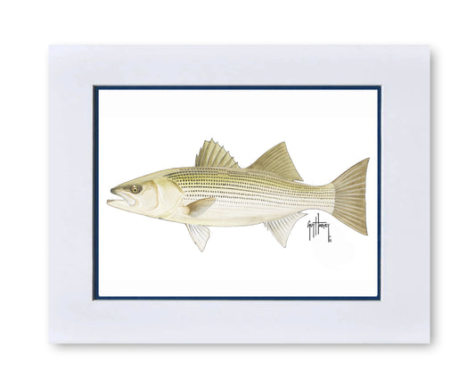 "Striped Bass" Grande Mini Print