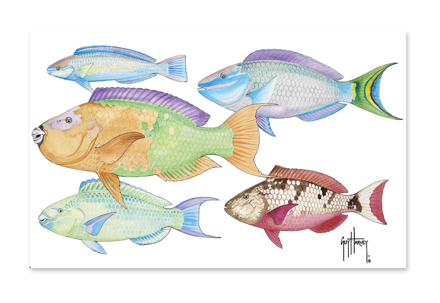 "Tropical Mosaic" Limited Edition Print