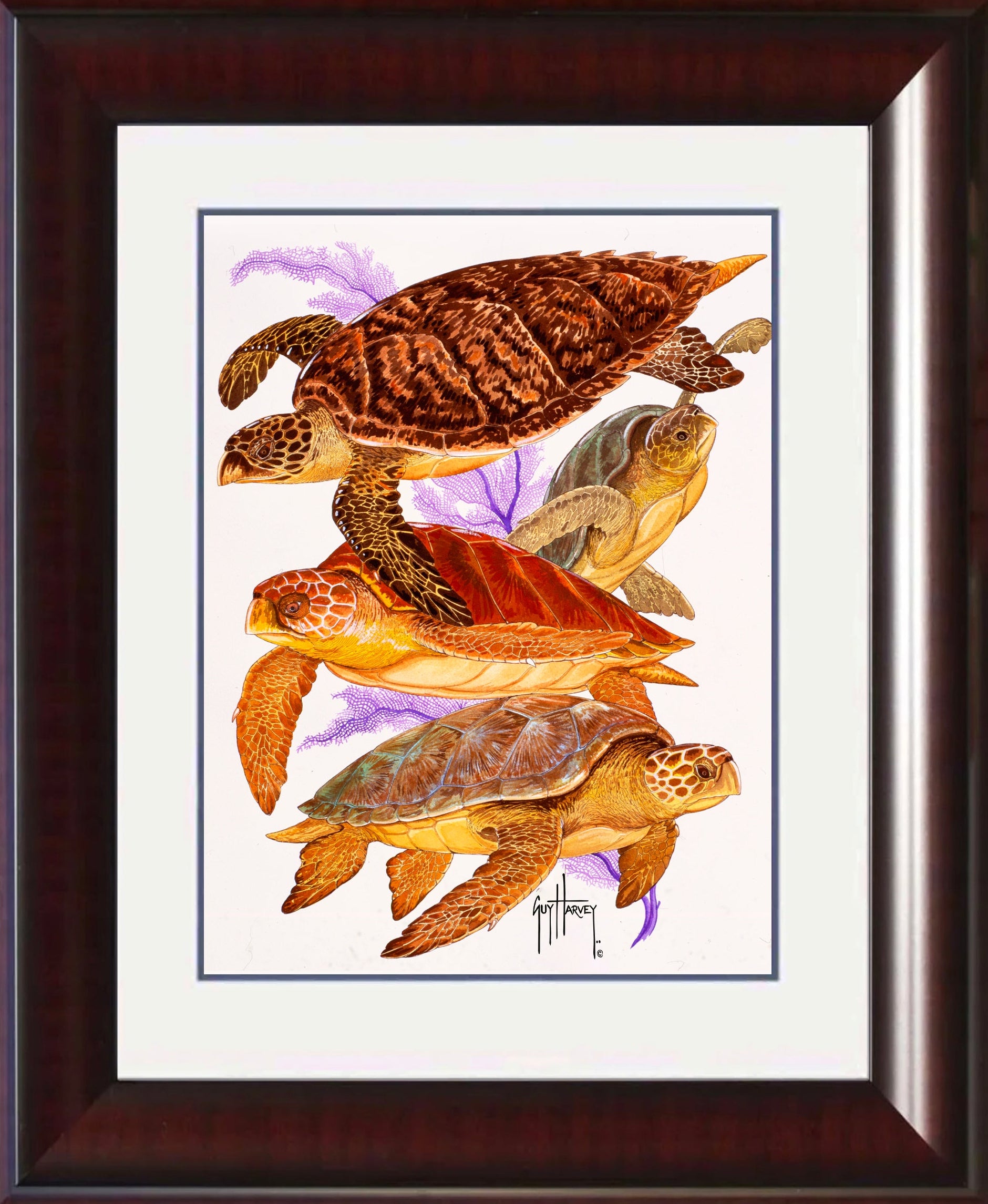Turtle Callage
