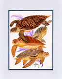 "Turtle Collage" Mini Print