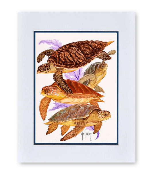 "Turtle Collage" Mini Print