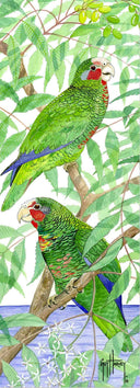 "Two Parrots" Limited Edition Print