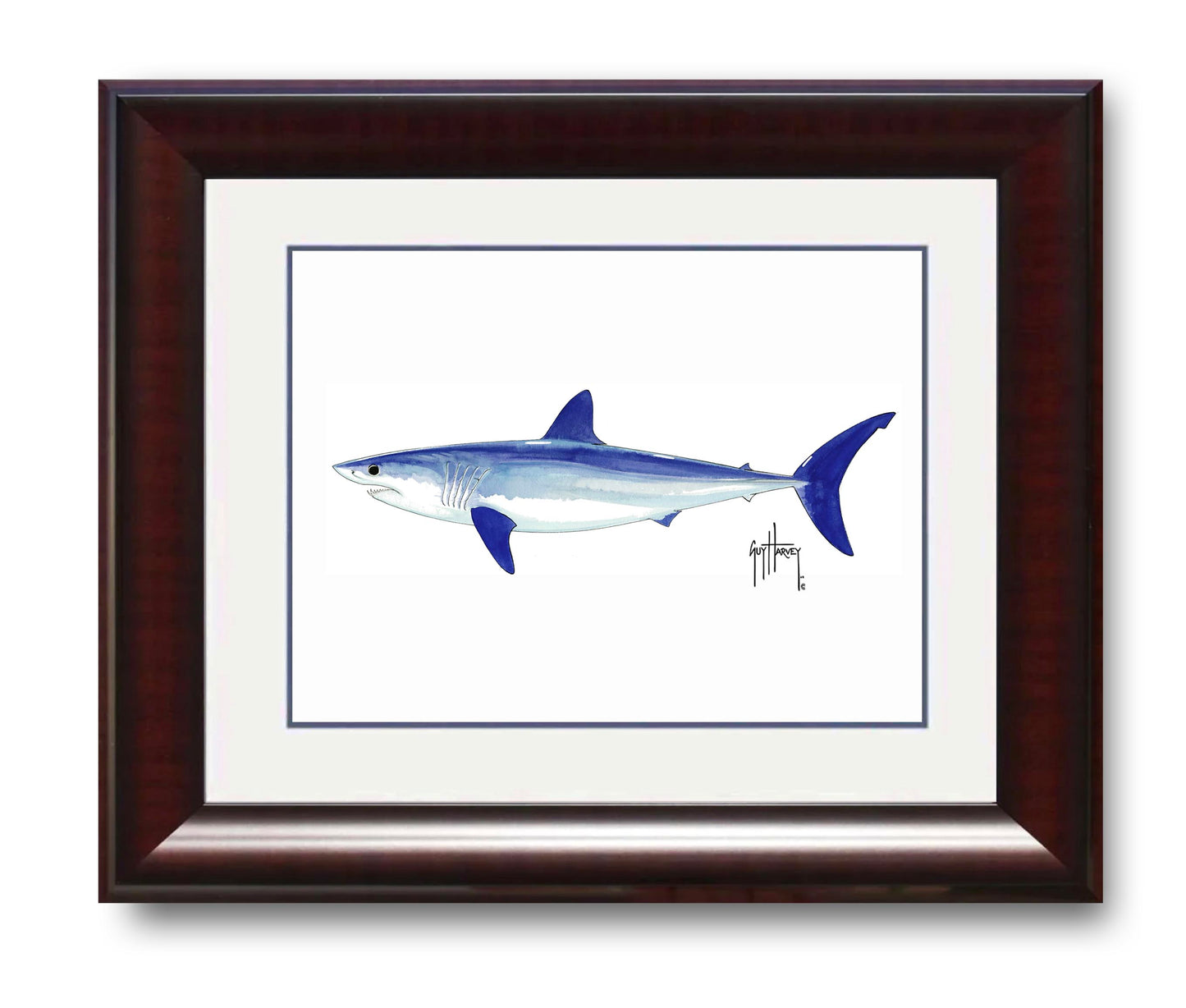 "Mako Shark" Grande Mini Print