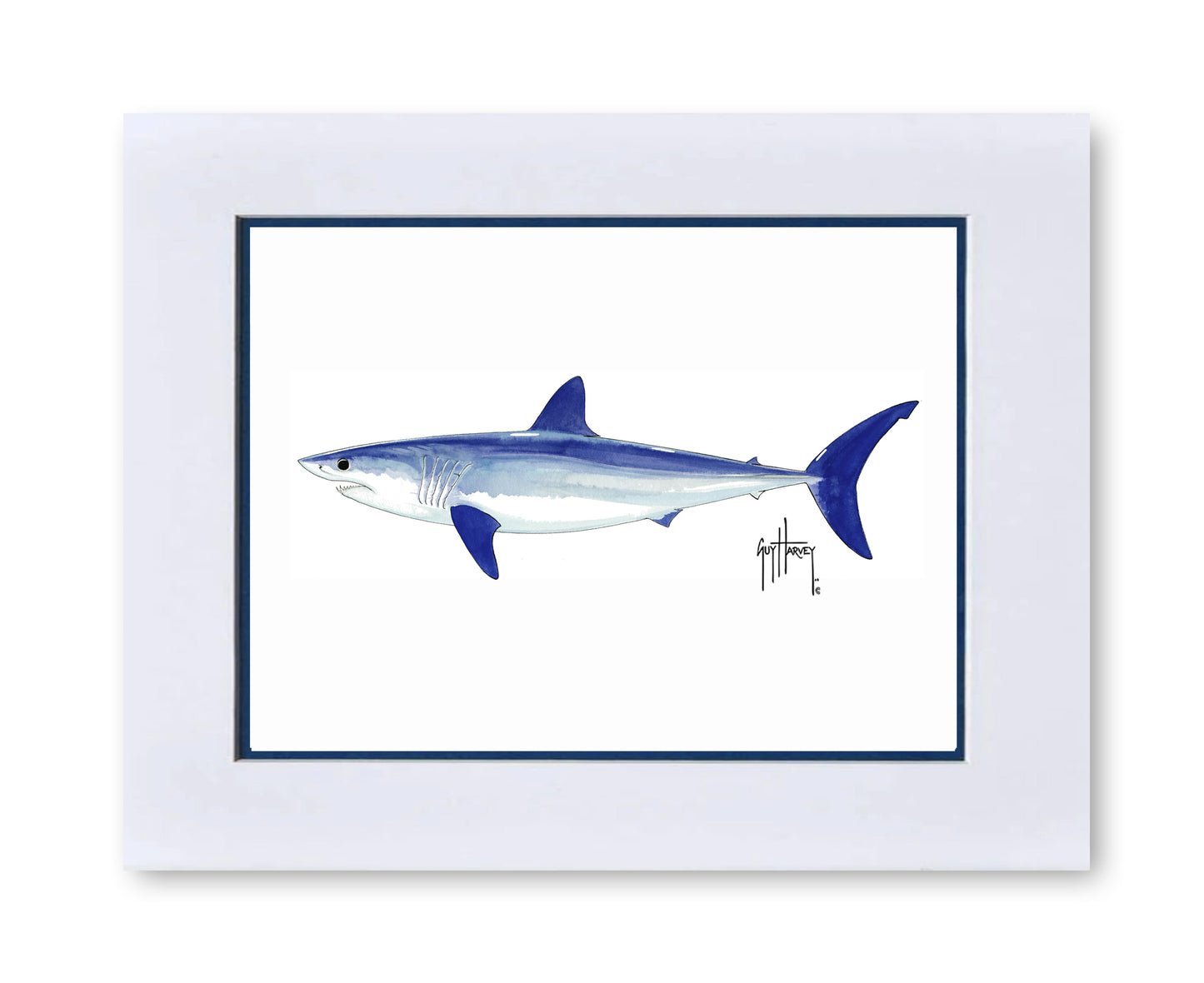 "Mako Shark" Grande Mini Print