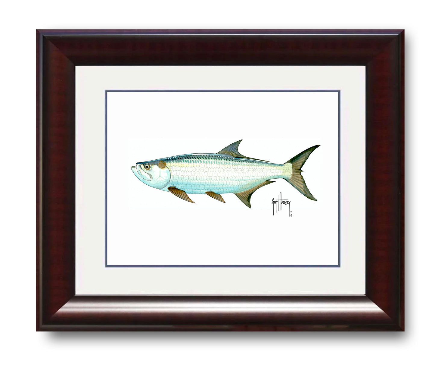 "Tarpon" Grande Mini Print