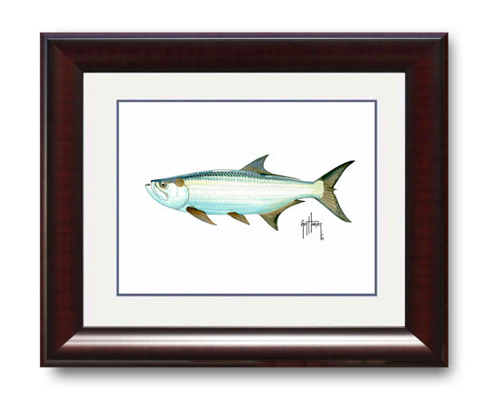 "Tarpon" Grande Mini Print